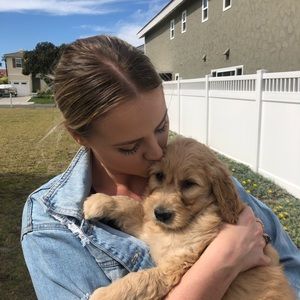 Meet your Posher, India